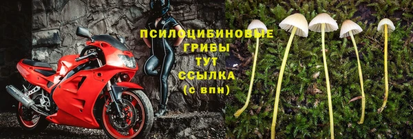 apvp Арсеньев