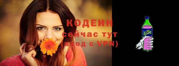 шишки Армянск