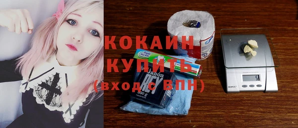 шишки Армянск