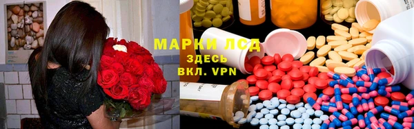 шишки Армянск