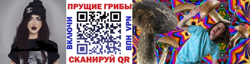 Галлюциногенные грибы Magic Shrooms  где продают наркотики  Миньяр 